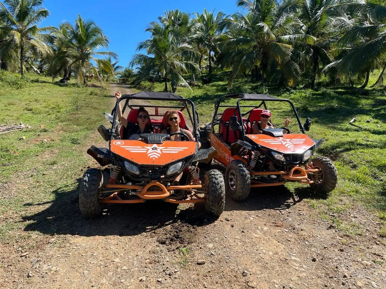 Buggies Rally Jungle Tour