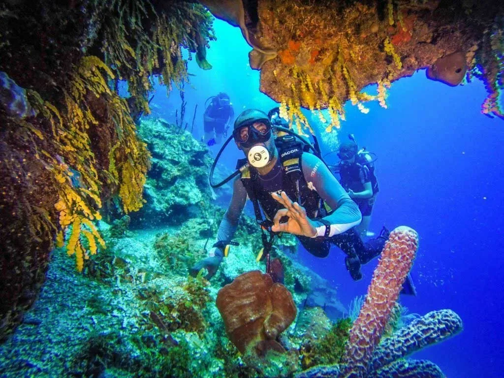 Diving in Bayahibe