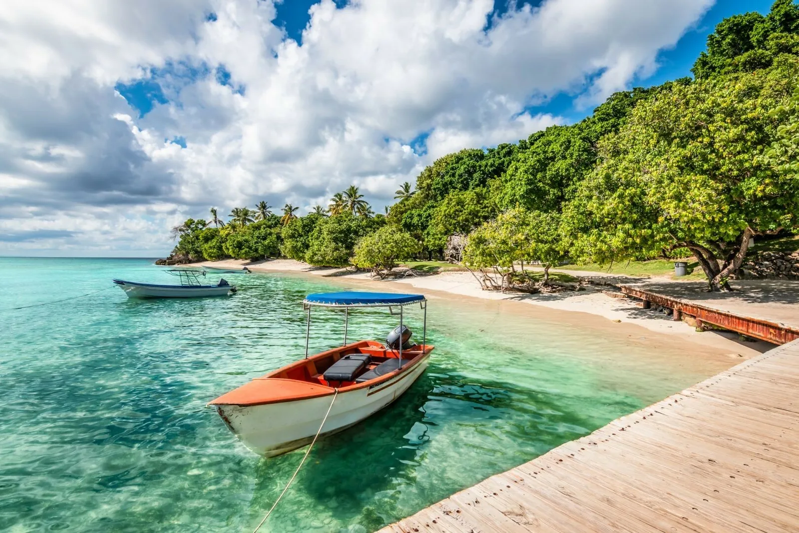 Samana Exotic Comfort