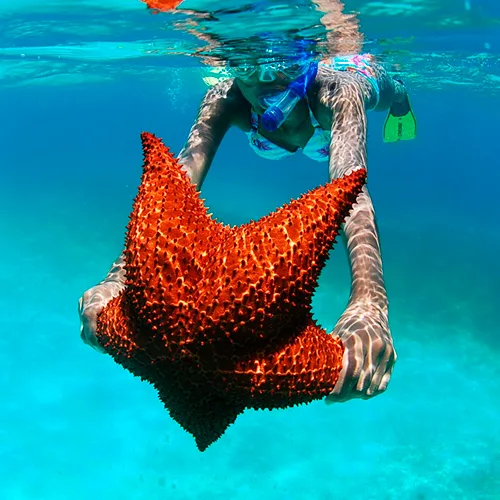 Saona Tranquila