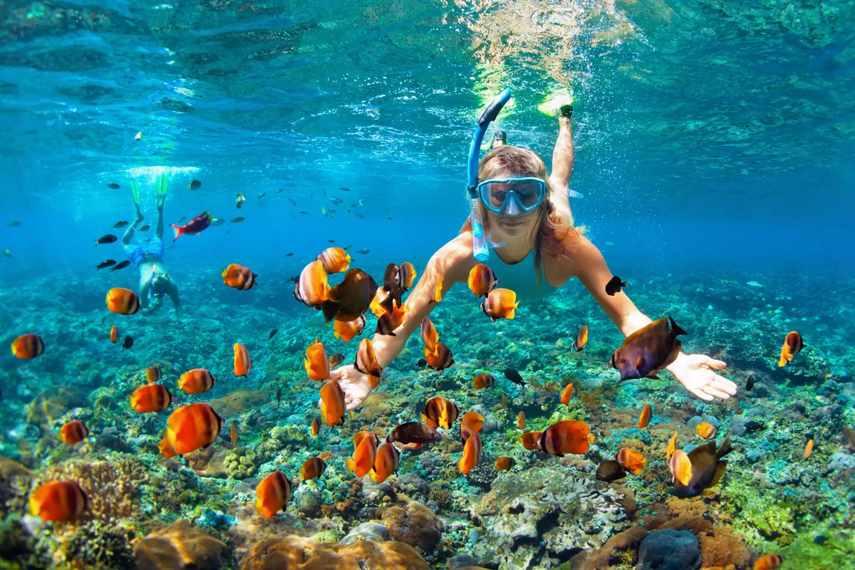 Snorkeling on Catalina Island
