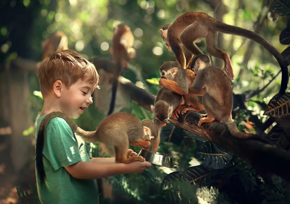 Zip-Line & Monkey Land Combo