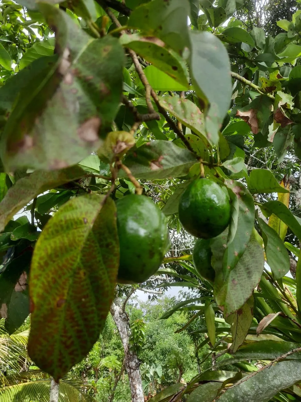 La Altagracia Province, Private Outback Tour