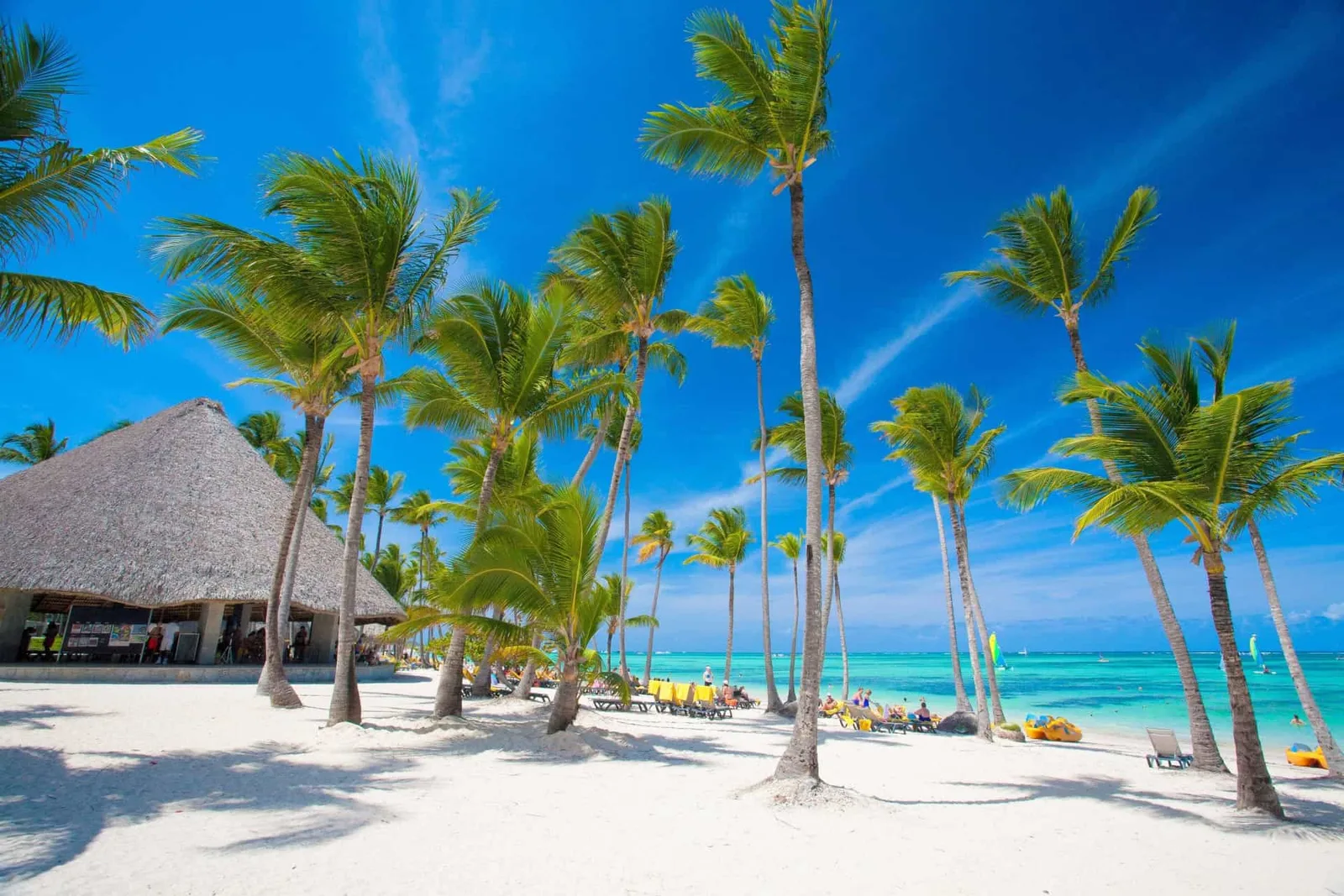 Samana, Fully Private Tour